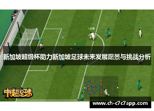 新加坡超级杯助力新加坡足球未来发展愿景与挑战分析