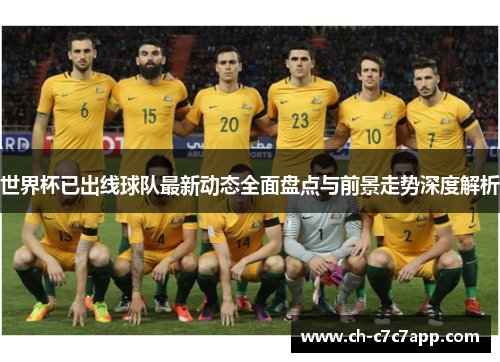 世界杯已出线球队最新动态全面盘点与前景走势深度解析