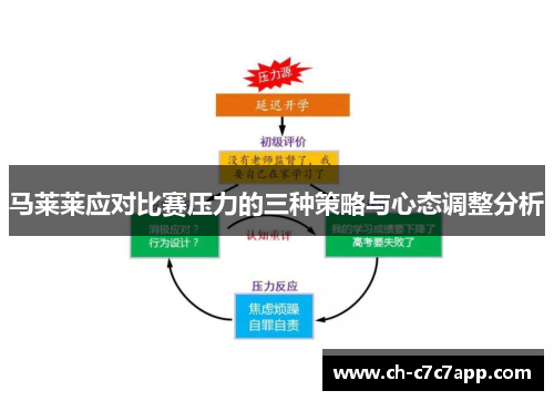马莱莱应对比赛压力的三种策略与心态调整分析